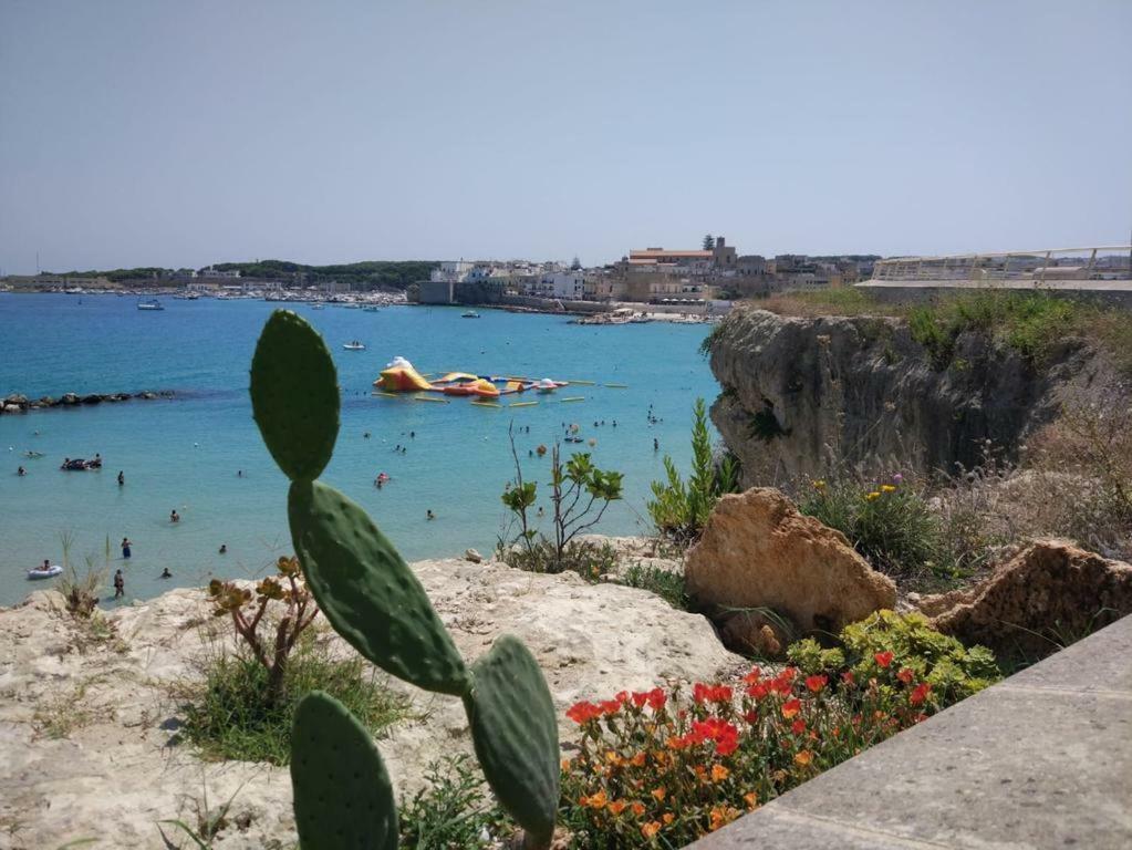 La Terrazza Sul Castello Lejlighed Palmariggi Eksteriør billede